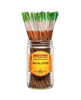 WILDBERRY STICKS EUCALYPTUS