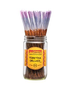 WILDBERRY STICKS TIBETAN ORCHID