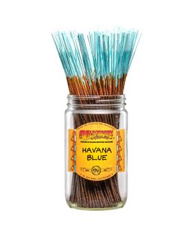 WILDBERRY STICKS HAVANA BLUE