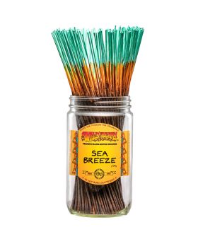 WILDBERRY STICKS SEA BREEZE