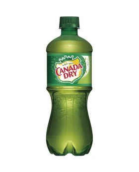 20 OZ CANADA DRY GINGER ALE 24CT